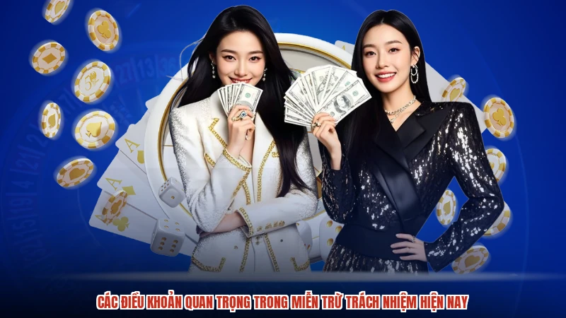 Các điều khoản quan trọng trong miễn trừ trách nhiệm hiện nay