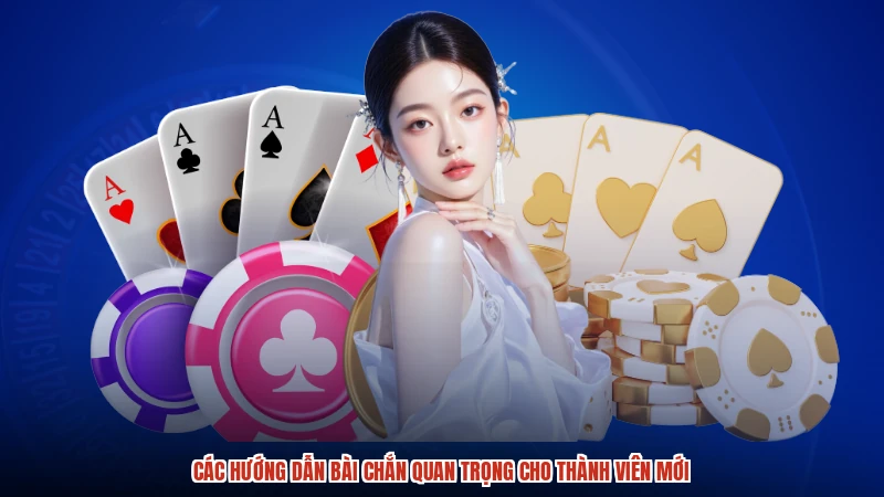 Các hướng dẫn bài chắn quan trọng cho thành viên mới