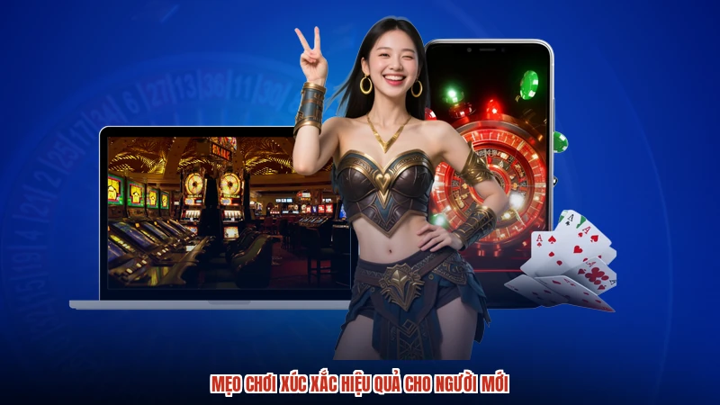 Mẹo chơi xúc xắc hiệu quả cho người mới