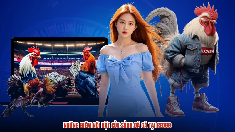 Những điểm nổi bật của sảnh đá gà tại RED88