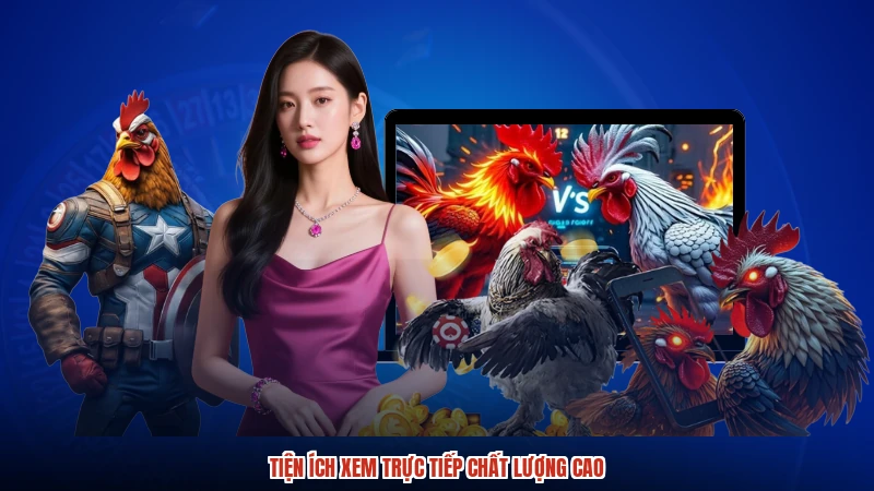 Tiện ích xem trực tiếp chất lượng cao