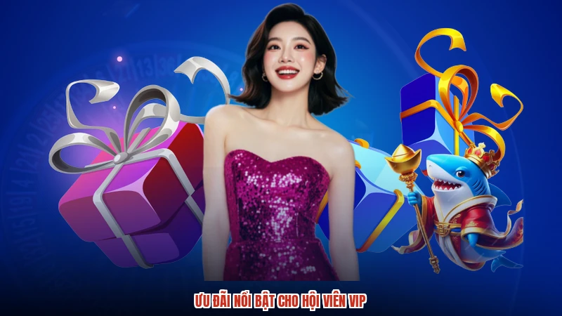 Ưu đãi nổi bật cho hội viên VIP