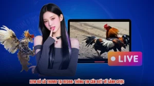 Xem Đá Gà Thomo Tại RED88: Thông Tin Cần Biết Về Sảnh Cược