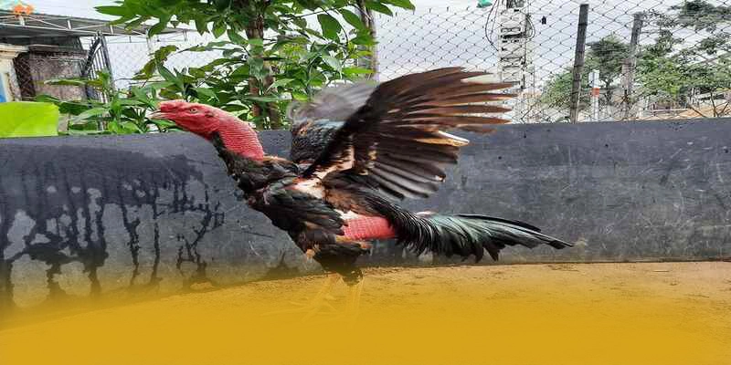 8XBET - Cổng giải trí tối ưu hiện nay 8XBET - Cổng giải trí tối ưu hiện nay
