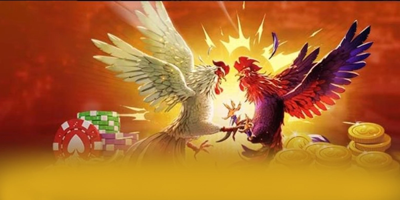 Đánh giá từ game thủ về 8xbet