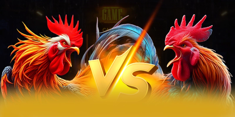 Khả năng truy cập mọi lúc mọi nơi cùng SUNWIN Khả năng truy cập mọi lúc mọi nơi cùng SUNWIN